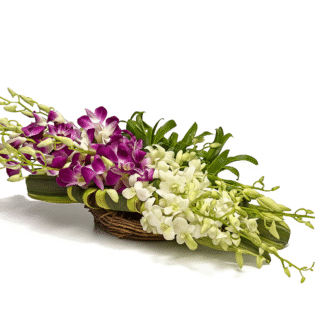 Royal Purple & White Orchid Arrangement (6 Stems)
