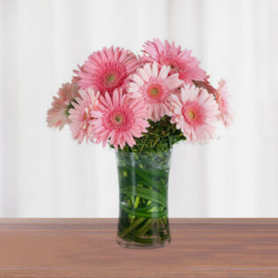 Delightful Pink Gerbera  with Glass Vase